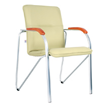 ������ Samba Silver